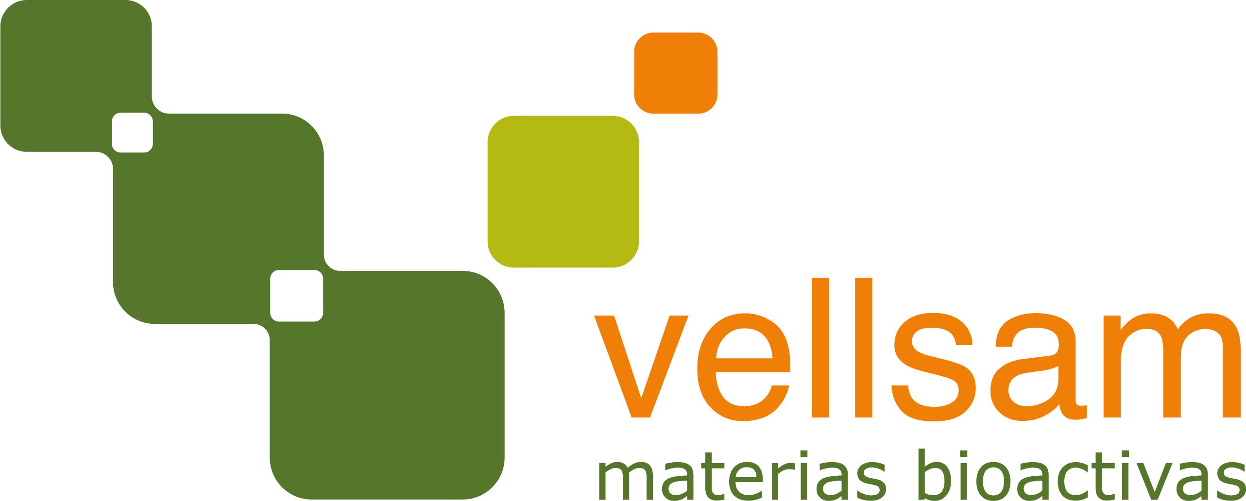 logo_vellsam_transparente